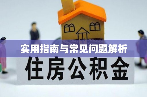 香坊实用指南与常见问题解析