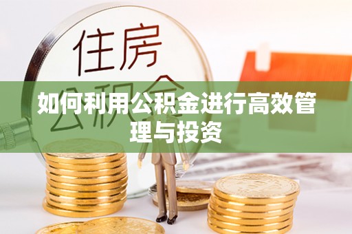 香坊如何利用公积金进行高效管理与投资